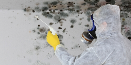 Mold Remediation Services Central Oregon Mitigation, Central Oregon, OR