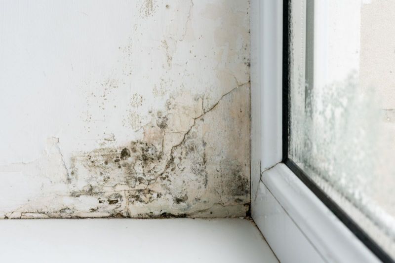 Mold vs. Mildew.